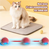 Electric interactive pet ball rolling toy