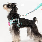No pull dog harness for everyday walks