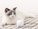 Automatic interactive cat toy smart rolling ball
