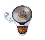 Pet automatic feeder for home use