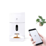WiFi video automatic pet feeder for dogs and cats