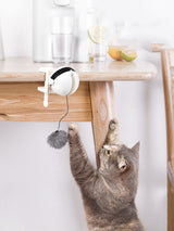 Automatic interactive cat toy puzzle ball