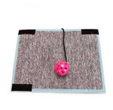 Cat scratching pad near sofa