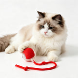 Electric interactive pet ball for dogs and cats