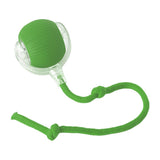 Electric interactive pet ball indoor play