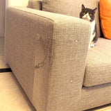 Cat scratching pad near sofa