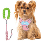 No pull dog harness for everyday walks