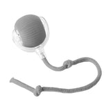 Electric interactive pet ball indoor play