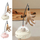 Rechargeable electric cat toy for indoor play