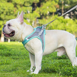 Reflective pet harness and leash set for dogs