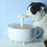 Automatic pet water fountain for dogs and cats