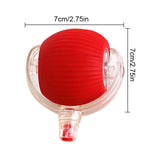 Electric interactive pet ball indoor play