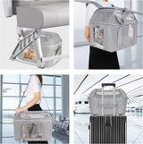 Dog backpack carrier for outdoor travel