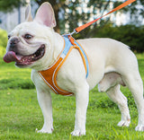 Reflective pet harness and leash set outdoor walking