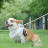 Biodegradable pet waste bag dispenser for dog walks