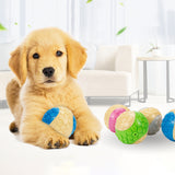 Interactive dog chew toy for play and enrichment