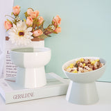 Ceramic pet food bowl set for dogs