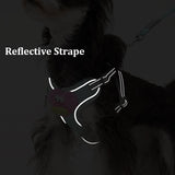 No pull dog harness and leash set