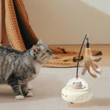 Rechargeable electric cat toy for indoor play