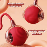 Electric interactive pet ball rolling toy