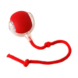 Electric interactive pet ball for dogs and cats