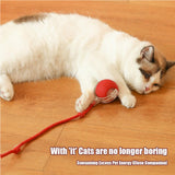 Electric interactive pet ball for dogs and cats
